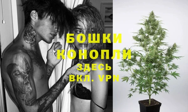 бошки Алексин