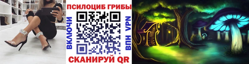 Купить закладки  Ржев  Галлюциногенные грибы GOLDEN TEACHER 